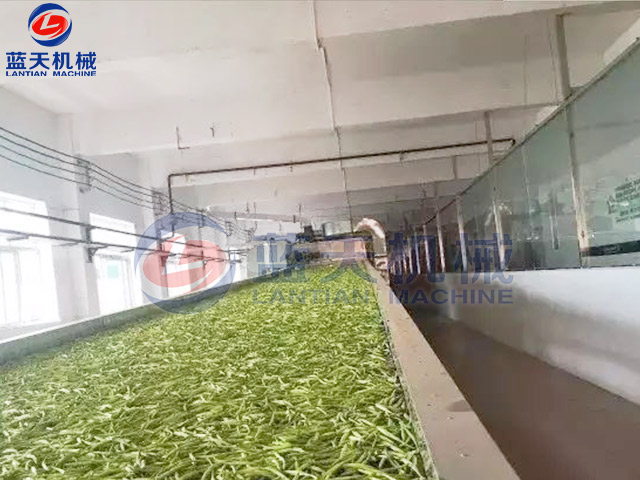 黃花菜烘干機現場實拍